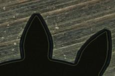 nikon metrology vision systems digital chart comparator iNEXIV VMA 4540